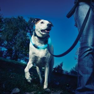 Collar NiteHowl® LED Safety Nite Ize