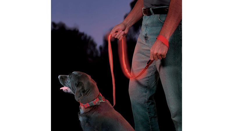 Correa_para_perros_LED_rojo_Nite_ize_4